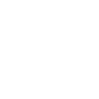 Vol.4